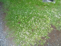 DSC03326.jpg