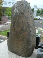 Dsc02384.jpg