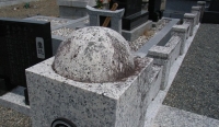 RIMG0002.jpg
